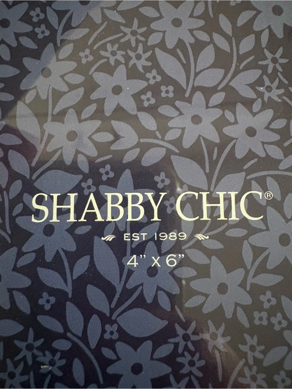 Shabby Chic Silver Floral Border Picture Frame 4x6 Vintage Cottage Decor